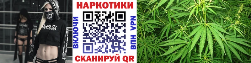 Все наркотики Дмитров КОКАИН  A PVP  Псилоцибиновые грибы  Гашиш  Бошки Шишки  МЕФ 