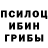 Псилоцибиновые грибы мицелий pigid