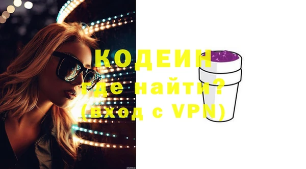 хмурый Гусев