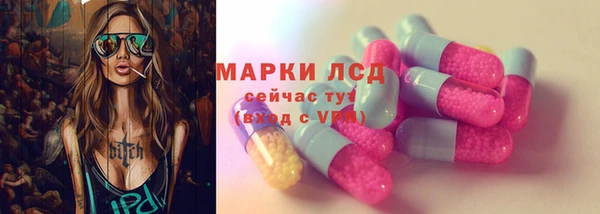 хмурый Гусев