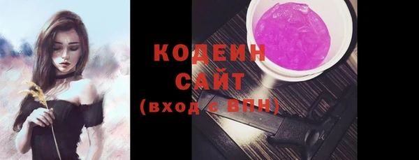 хмурый Гусев