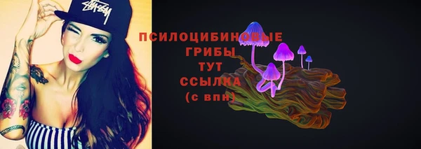 дживик Гусь-Хрустальный