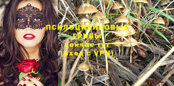 дживик Гусь-Хрустальный