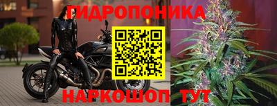 ГАЛЛЮЦИНОГЕННЫЕ ГРИБЫ Можайск